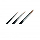 Pro Arte Series 101 