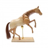 Equine Lay Figure