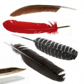 Quill Pens