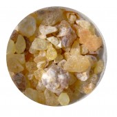 Coptic Frankincense Resin 10 grams