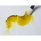 Winsor & Newton Ox Gall Liquid Medium