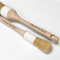 Cornelissen Paste Brush