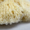 Natural Sponge